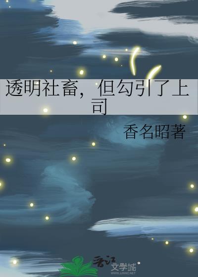 ͸�����󣬵���������˾